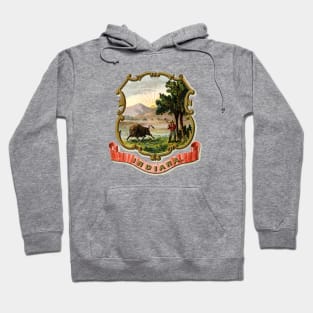 1876 Indiana Coat of Arms Hoodie